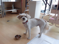 DSCF3103.JPG