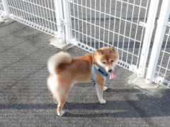 DSCF3107.JPG