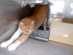 DSCF3152.JPG