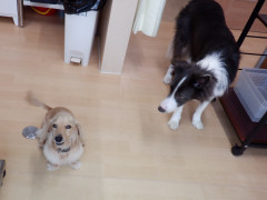 DSCF3157.JPG