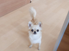 DSCF3150.JPG