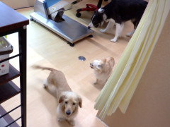 DSCF3147.JPG