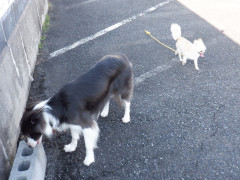 DSCF3176.JPG