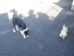 DSCF3169.JPG