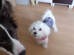 DSCF3185.JPG