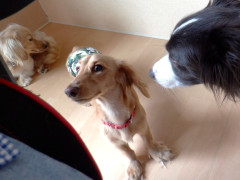 DSCF3186.JPG