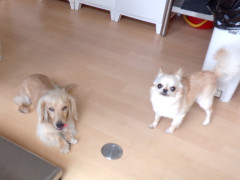 DSCF3181.JPG