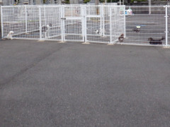 DSCF3237.JPG