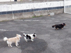 DSCF3235.JPG