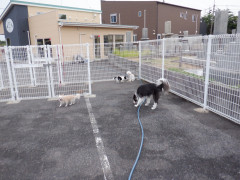 DSCF3216.JPG