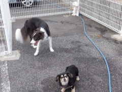 DSCF3258.JPG