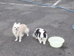 DSCF3245.JPG