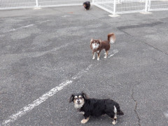 DSCF3243.JPG