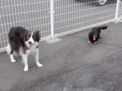 DSCF3252.JPG