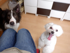 DSCF3262.JPG