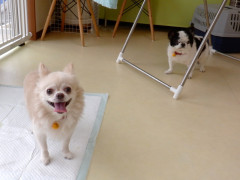 DSCF3268.JPG
