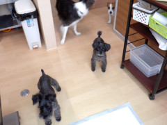 DSCF3274.JPG