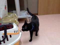 DSCF3296.JPG