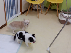 DSCF3276.JPG