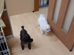 DSCF3287.JPG