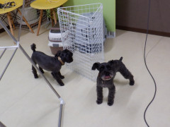 DSCF3289.JPG