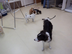 DSCF3281.JPG