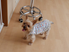 DSCF3329.JPG