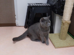 DSCF3325.JPG