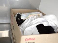 DSCF3319.JPG