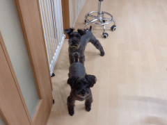 DSCF3300.JPG