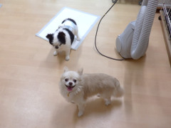 DSCF3303.JPG