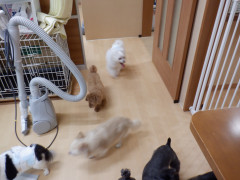 DSCF3305.JPG