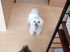 DSCF3341.JPG