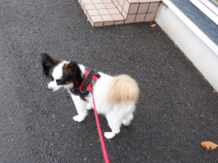 DSCF3361.JPG