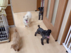 DSCF3369.JPG