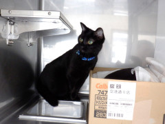 DSCF3386.JPG