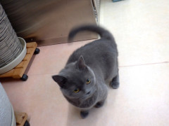 DSCF3376.JPG