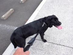 DSCF3421.JPG