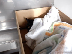 DSCF3413.JPG