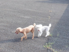 DSCF3398.JPG