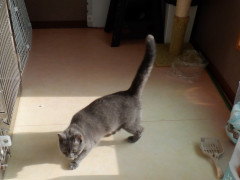 DSCF3409.JPG