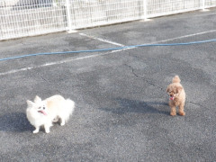 DSCF3406.JPG