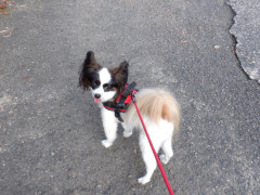 DSCF3388.JPG