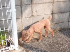 DSCF3442.JPG
