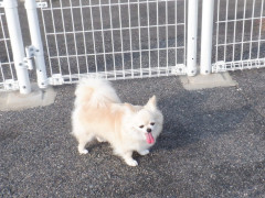 DSCF3437.JPG