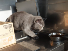 DSCF3452.JPG