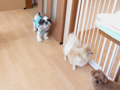 DSCF3464.JPG