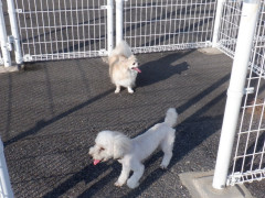 DSCF3460.JPG