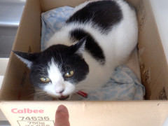 DSCF3496.JPG