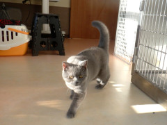 DSCF3477.JPG